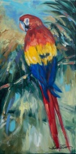 Parrot Perch 20x10